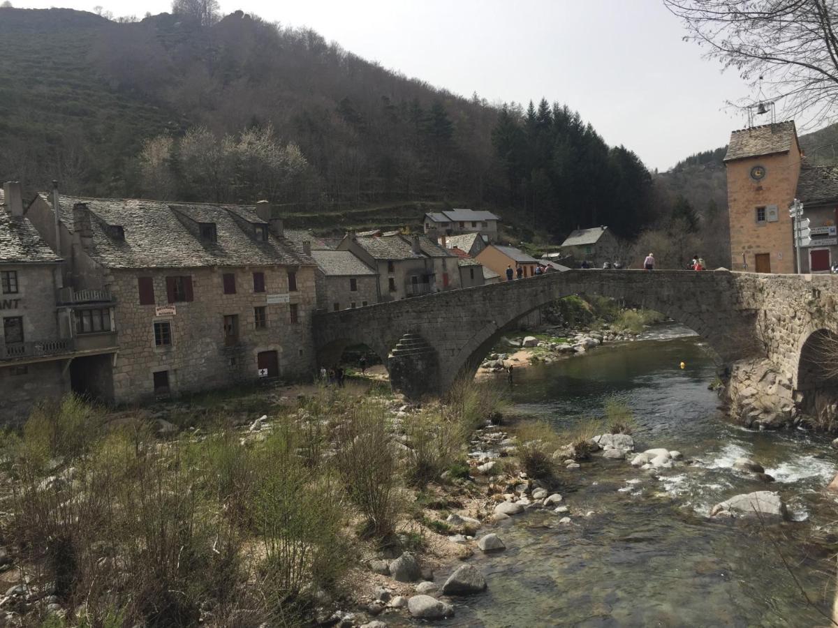 Maison Familiale En Cevennes Le Salson エクステリア 写真